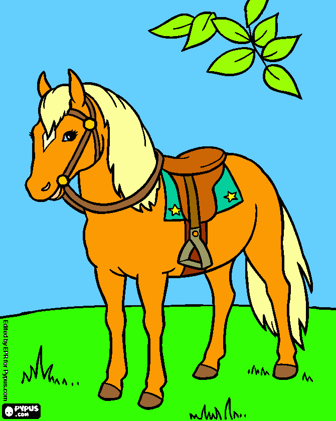 Cavallo,il mio cavallo da colorare