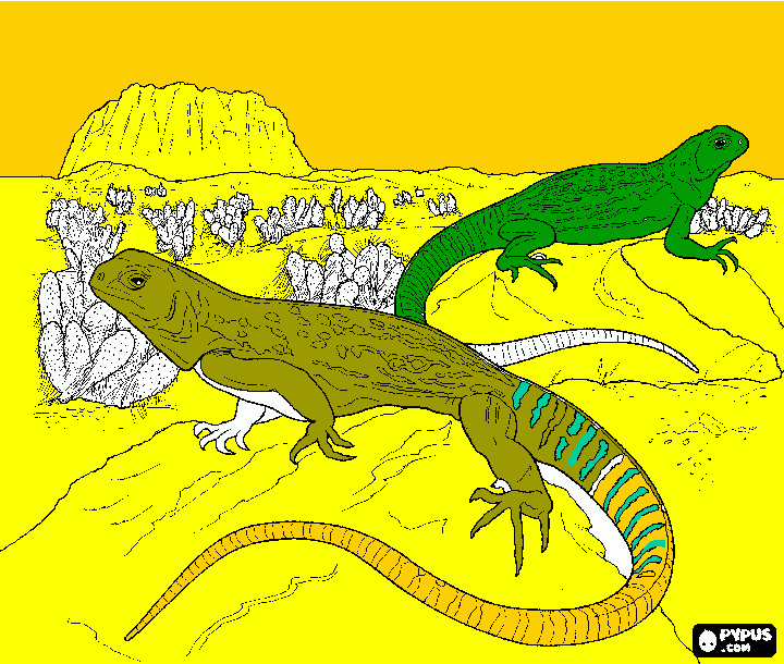 iguanadonte da colorare