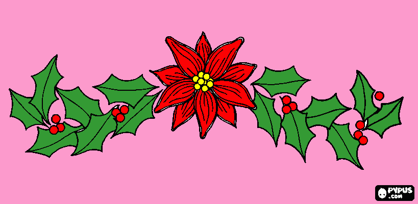 un fiore di natale da colorare